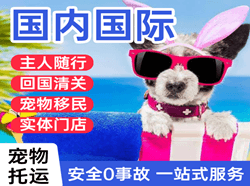 博鳌空运国际宠物托运 【国